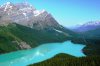 Peyto Lake 1.jpg