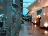 DSC00078.jpg