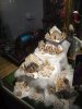 DSC00315.jpg