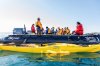 apeacock_antarctica_170125-43133.jpg