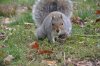DSC_6283.jpg