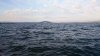 DSC_0065.jpg