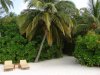 Beach Deluxe Beach Entry.jpg Beach Deluxe Beach Entry.jpg
