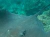 reef3.jpg
