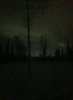 2017-02-21 23.33.43 (468x640).jpg