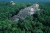 calakmul-archaelogical-zone-and-reserve-day-trip-from-palenque-in-palenque-346970.jpg