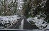 snow4.jpg