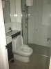 IMG_3011 (480x640).jpg