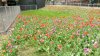 IMG_20170423_120442-1344x760.jpg
