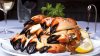 05floridastonecrab.jpg