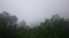 DSC_0087.jpg