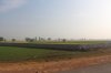 IMG_0939.JPG IMG_0939.JPG