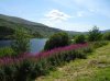 DSC06783.jpg