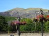 DSC07028.jpg