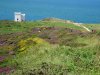 DSC07383.jpg