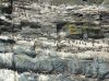 DSC07396.jpg