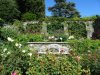 DSC07479.jpg
