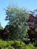 DSC07489.jpg