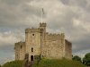 DSC07601.jpg