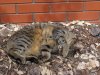 DSC08224.jpg