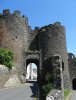DSC06748.jpg