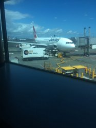 IMG_1461.JPG