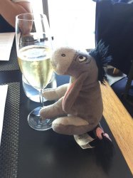 Champers.jpg