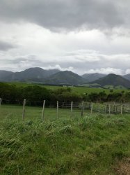 IMG_7641.JPG