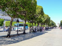 Tunis main boulevard 2.jpg
