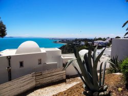 Tunis Sidi Bou Said view 1.jpg