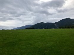 IMG_3639.JPG