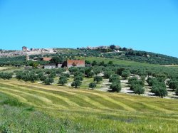 Dougga from road.jpg