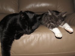 IMG_1890.JPG