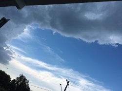 032D1373-3B5C-4369-8EED-4F6C3F05EA8A.jpeg