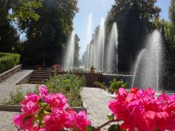 Garden.jpg