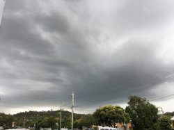 3E015877-AD11-4B6F-88E7-30F341B17091.jpeg