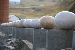Eggs 2.jpg