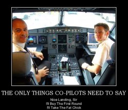 the-only-things-co-pilots-need-to-say.jpg