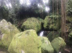 896B885C-8F14-4F36-B2C2-5C76A7DE992A.jpeg