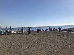 IMG_0918.JPG
