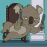 Killakoala