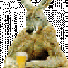 theleakykangaroo