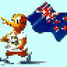 Kiwi Flyer