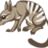 Numbat2