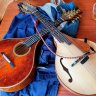 mandolino