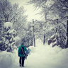 snowchaser
