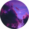 Skynest101