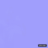 disolaterx