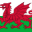 Welsh-Kiwi