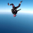 flying_duck